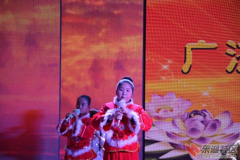 武穴市2015迎新年祈福晚会图片