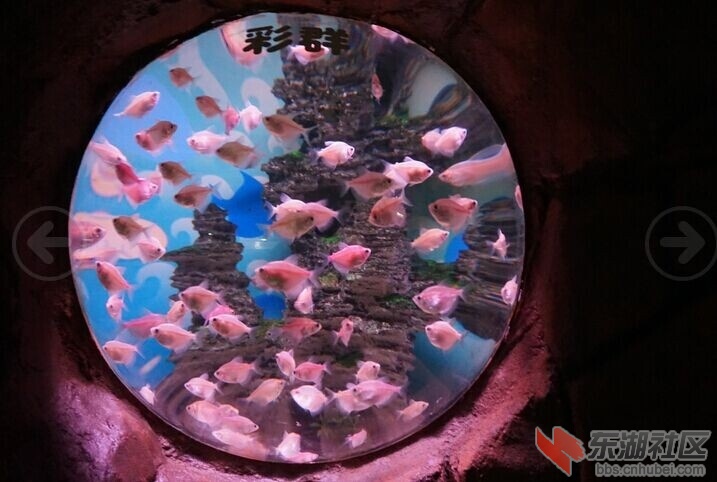 QQ图片20141228135326.jpg