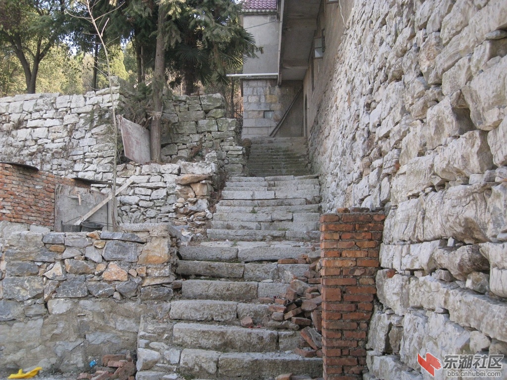 05.jpg