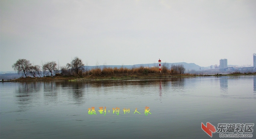 7934.jpg