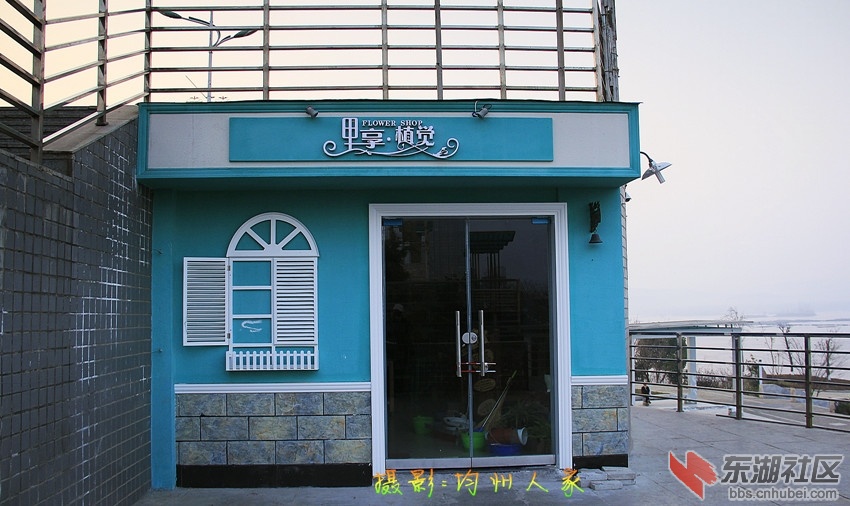 8249.jpg