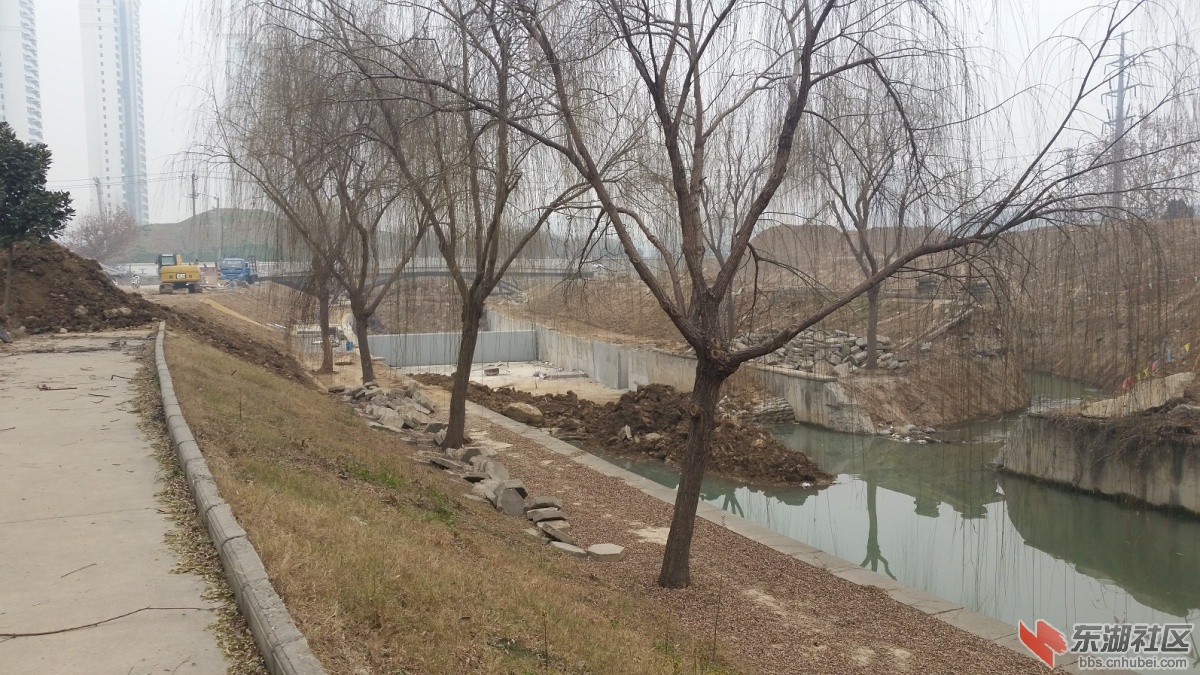 20150105_123105.jpg