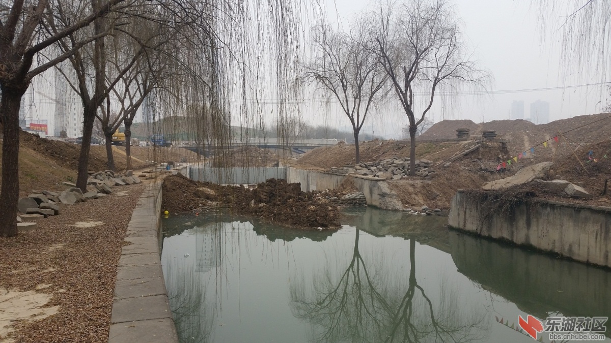 20150105_123042.jpg