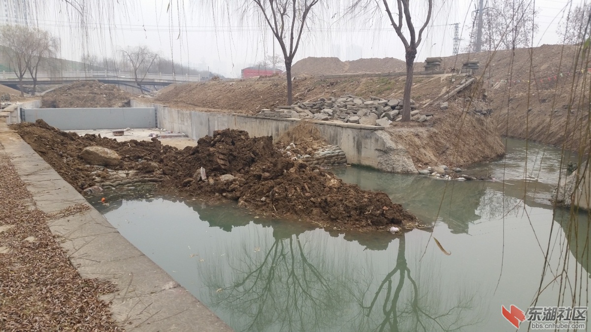 20150105_122954.jpg