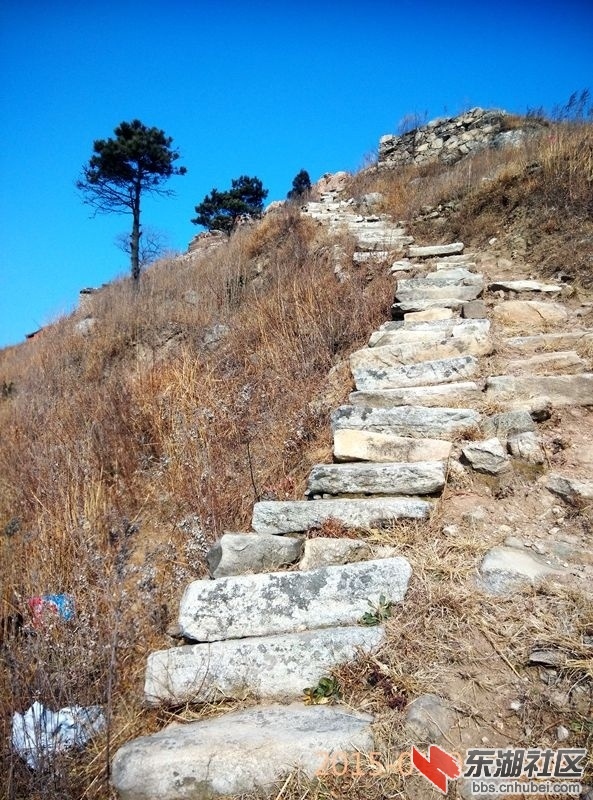 13.jpg