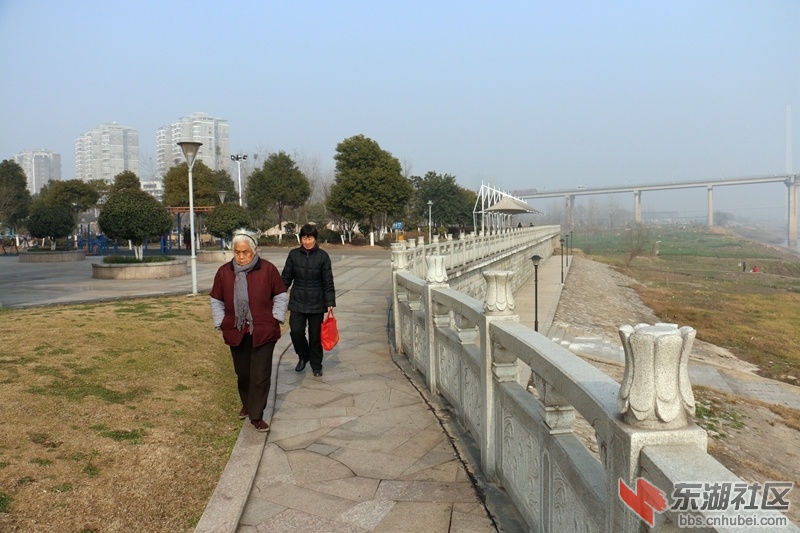02.jpg