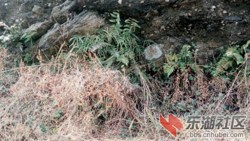 C360_2015-01-07-12-56-29-378.jpg