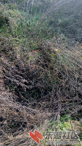 C360_2015-01-07-12-41-18-285.jpg