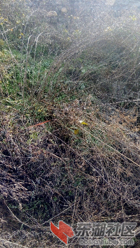 C360_2015-01-07-12-41-13-765.jpg