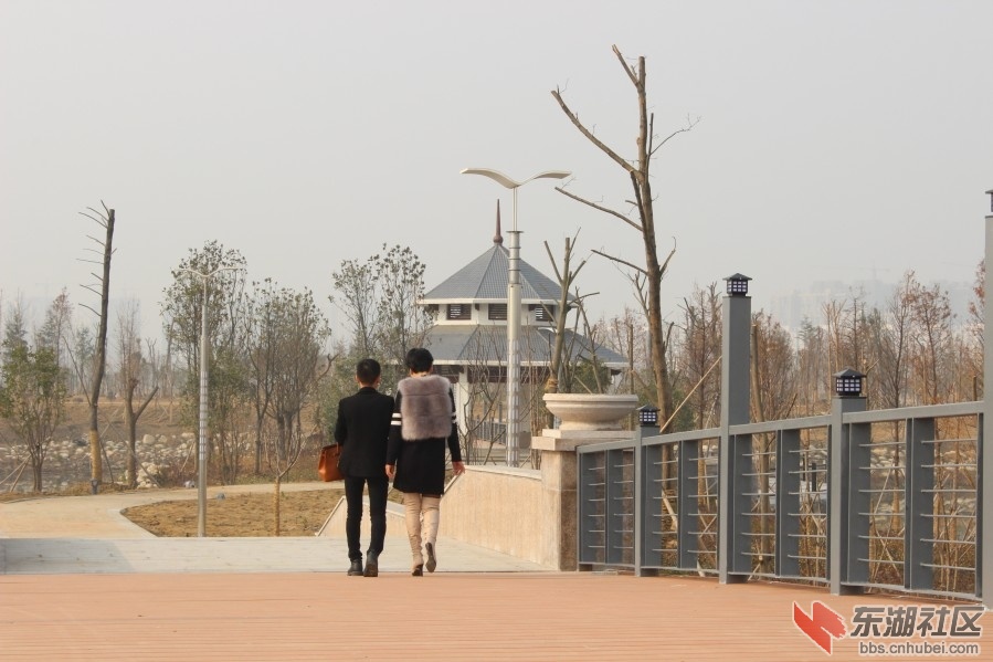 001ZERdqgy6P1y7ALZ355&amp;690.jpg