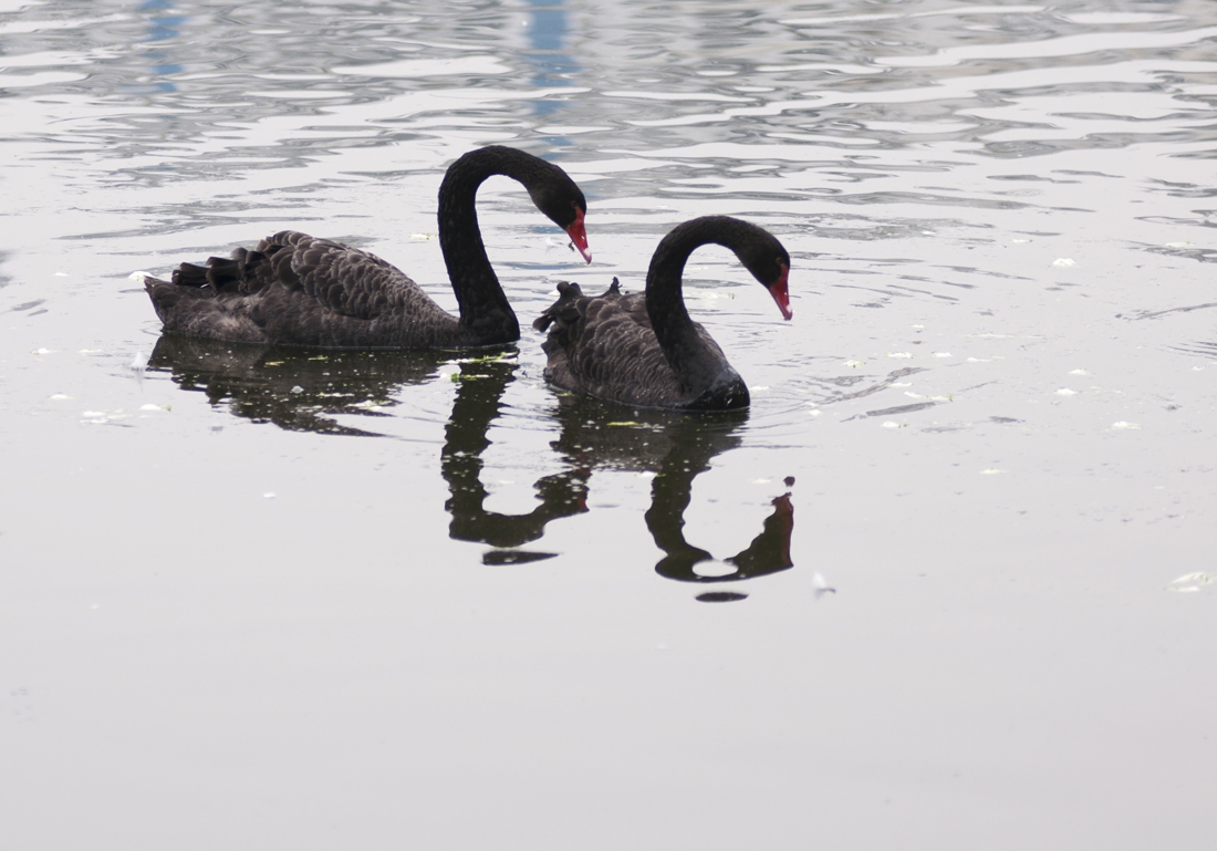 DSC_5876副本.jpg