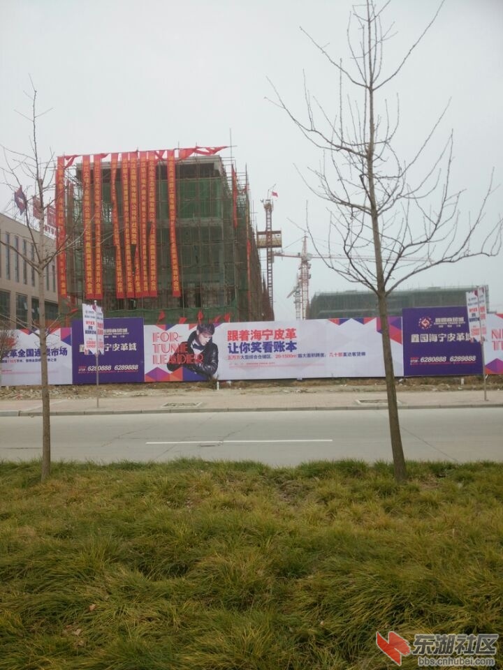 QQ图片20150109112911.jpg