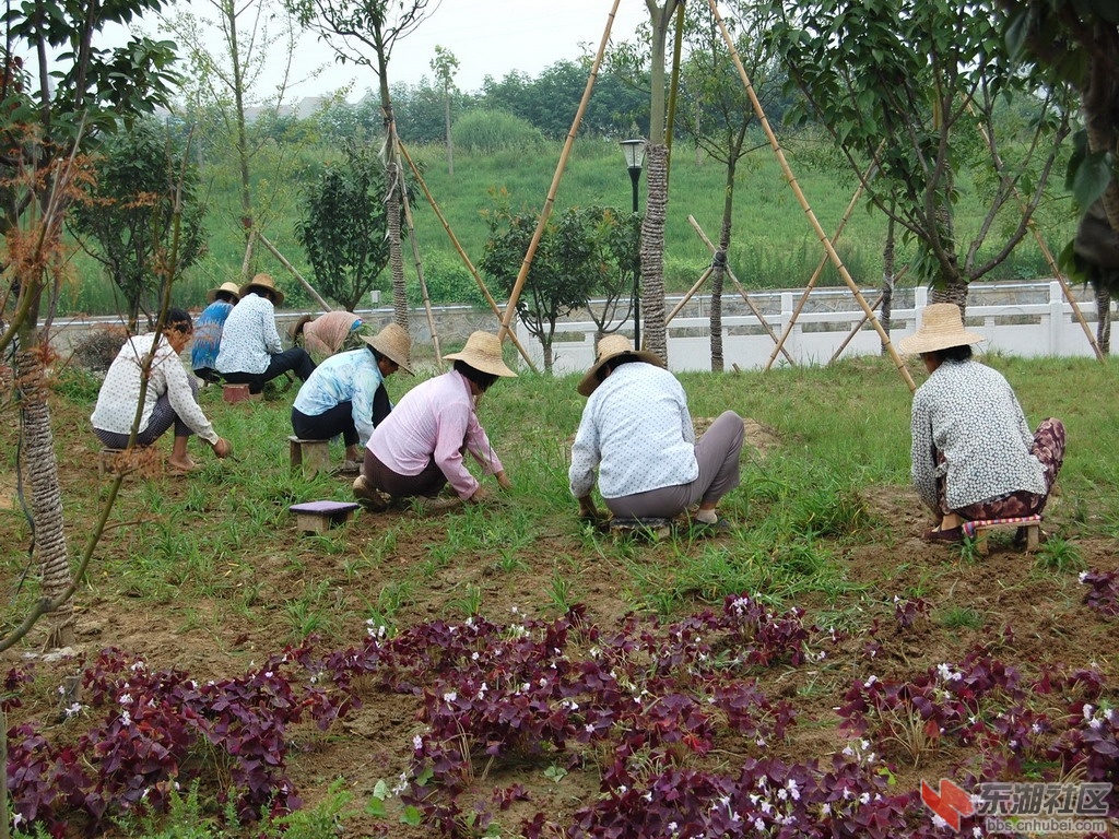 曲阳河.jpg