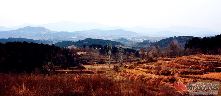 DSC_2860_副本.jpg