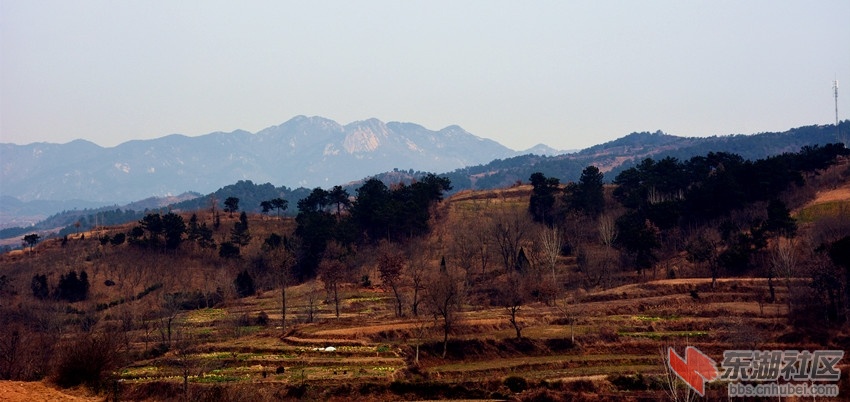 DSC_2861_副本.jpg