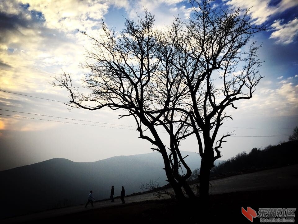 QQ图片20150112085350.jpg
