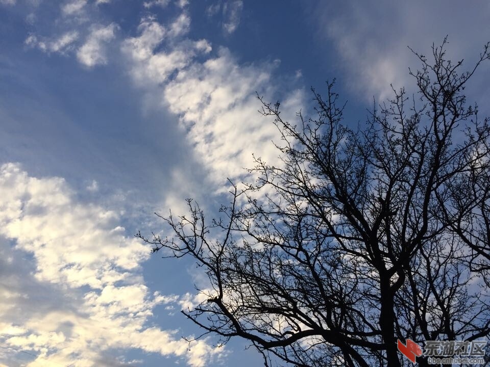 QQ图片20150112085414.jpg