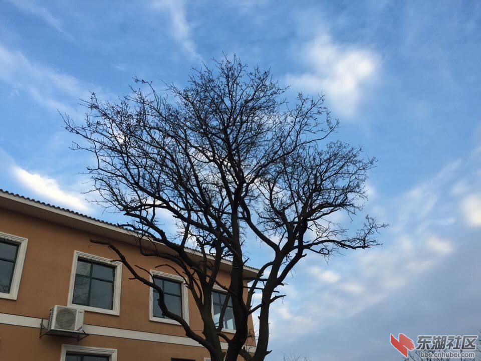 QQ图片20150112085420.jpg