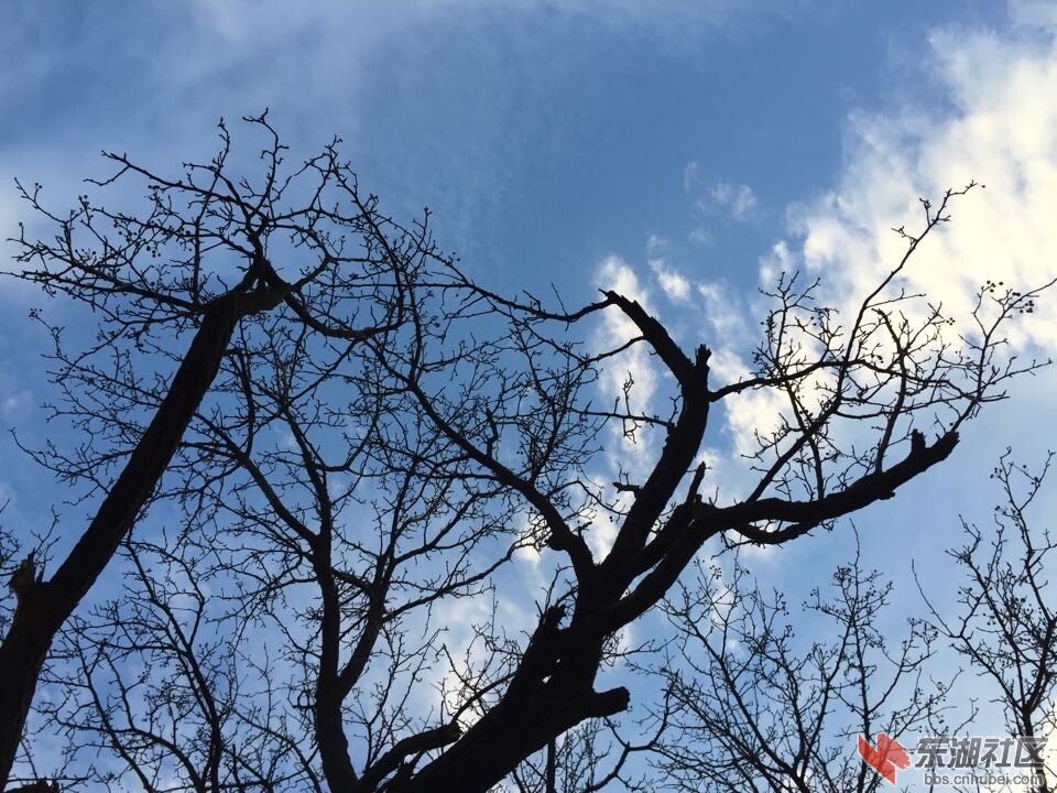 QQ图片20150112085417.jpg