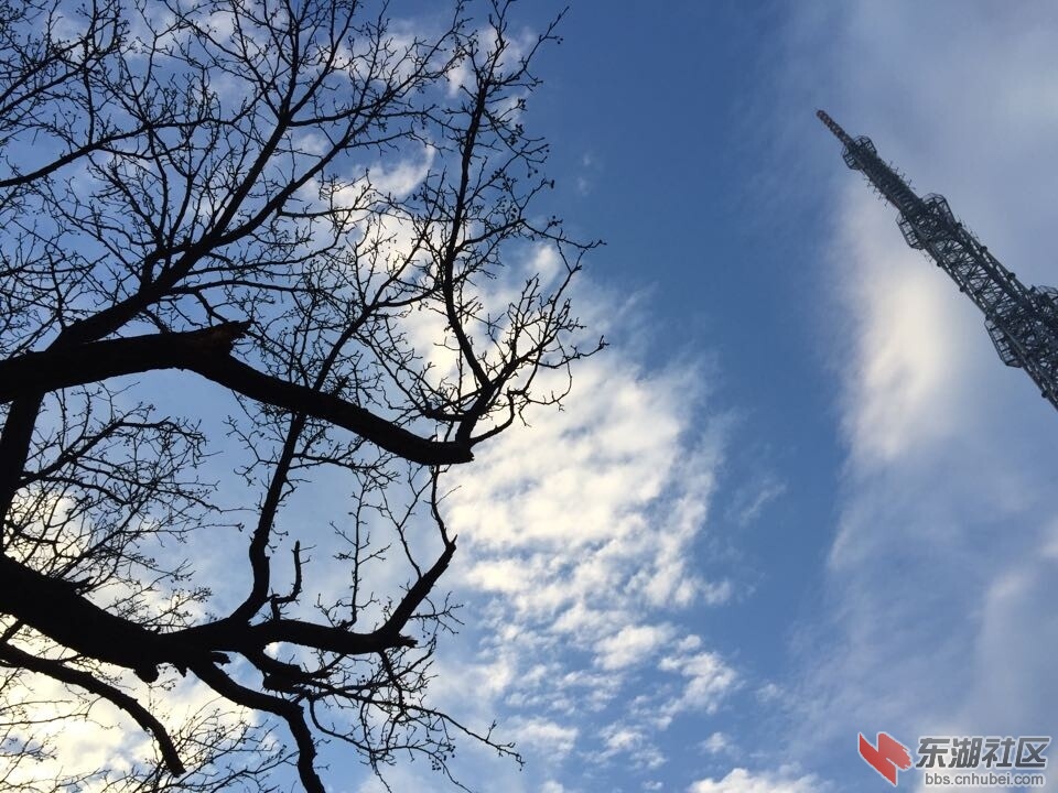 QQ图片20150112085411.jpg