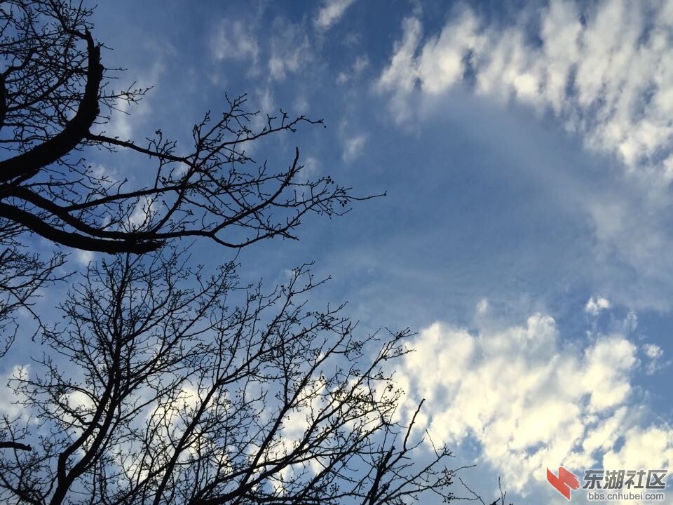 QQ图片20150112085359.jpg