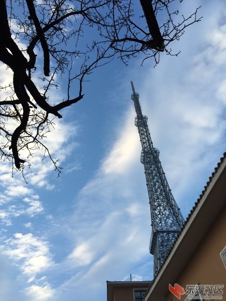QQ图片20150112085348.jpg