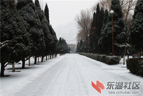 河北涿鹿雪景.jpg