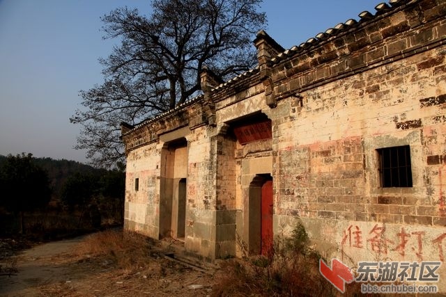 陈锡联1.jpg