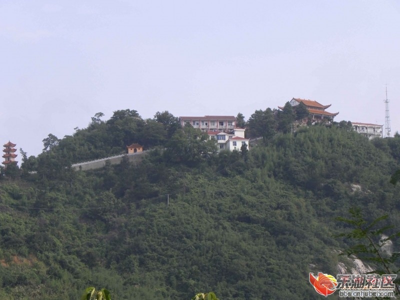 195721z83vhgla8377gz7j.jpg