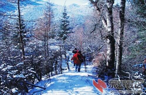 森林公园景区.jpg