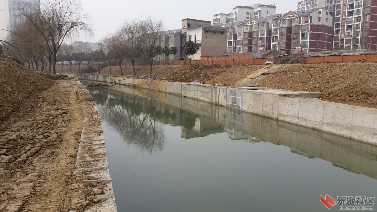 20150114_123222.jpg
