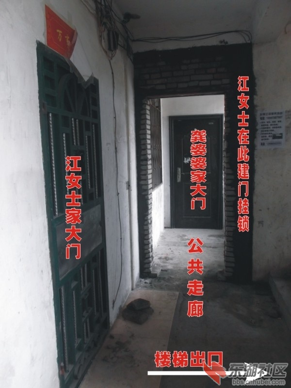 图形1.jpg