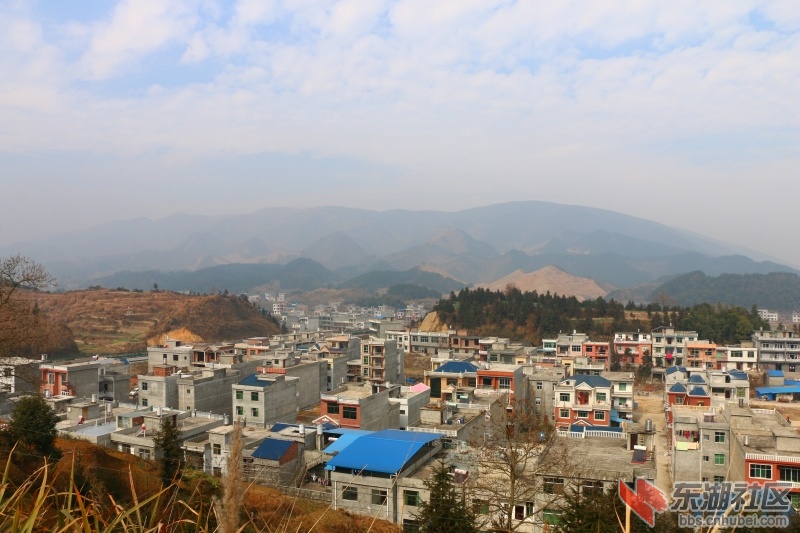 IMG_6096.jpg