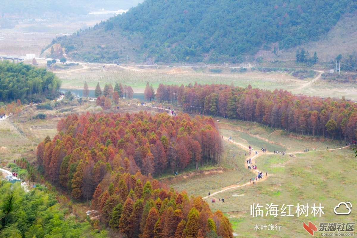 118.jpg