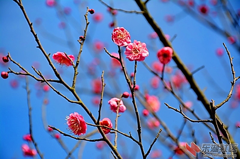 照片 441.jpg