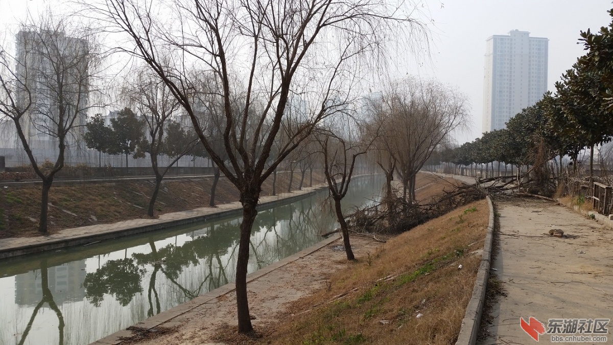 20150119_122654.jpg
