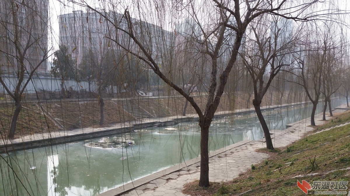 20150119_123048.jpg