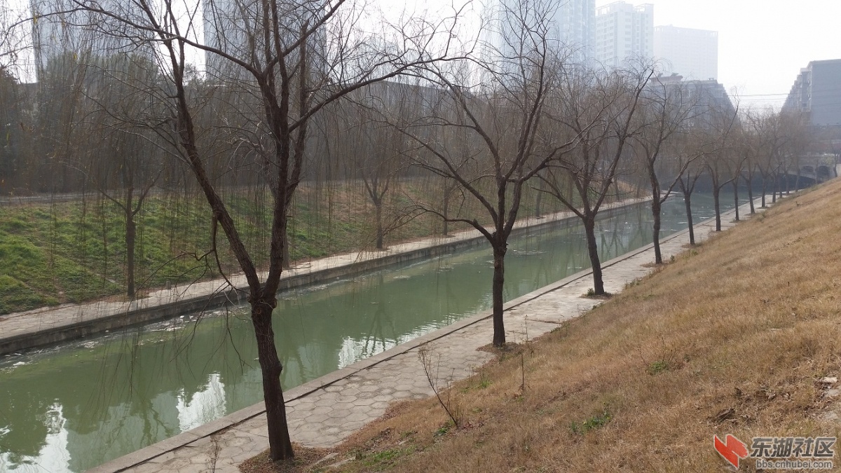 20150119_123321.jpg