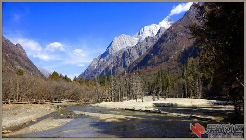 枯树滩.jpg