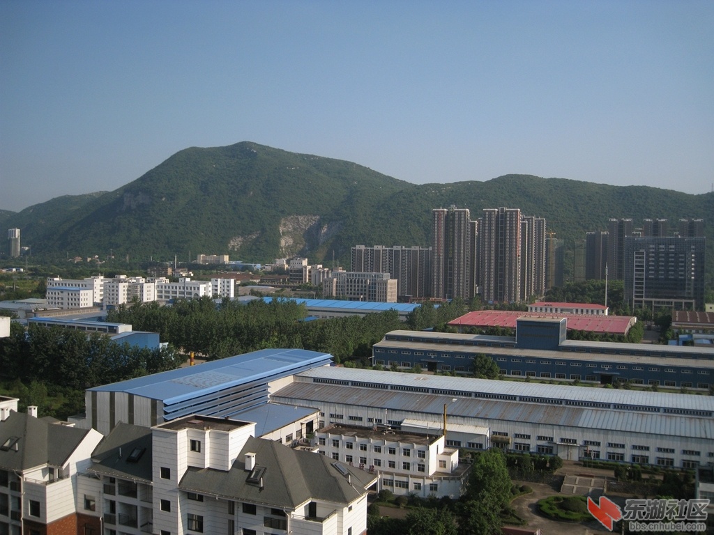04.jpg