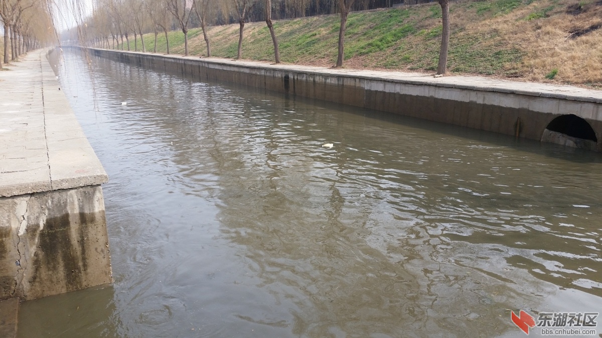 20150120_122900.jpg