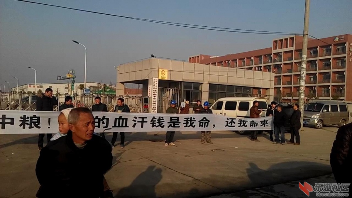 VID_20150121_085319_20151219201.JPG