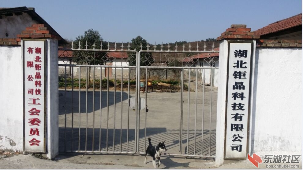 QQ图片20150122153350.jpg