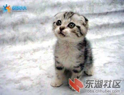 图片7.jpg