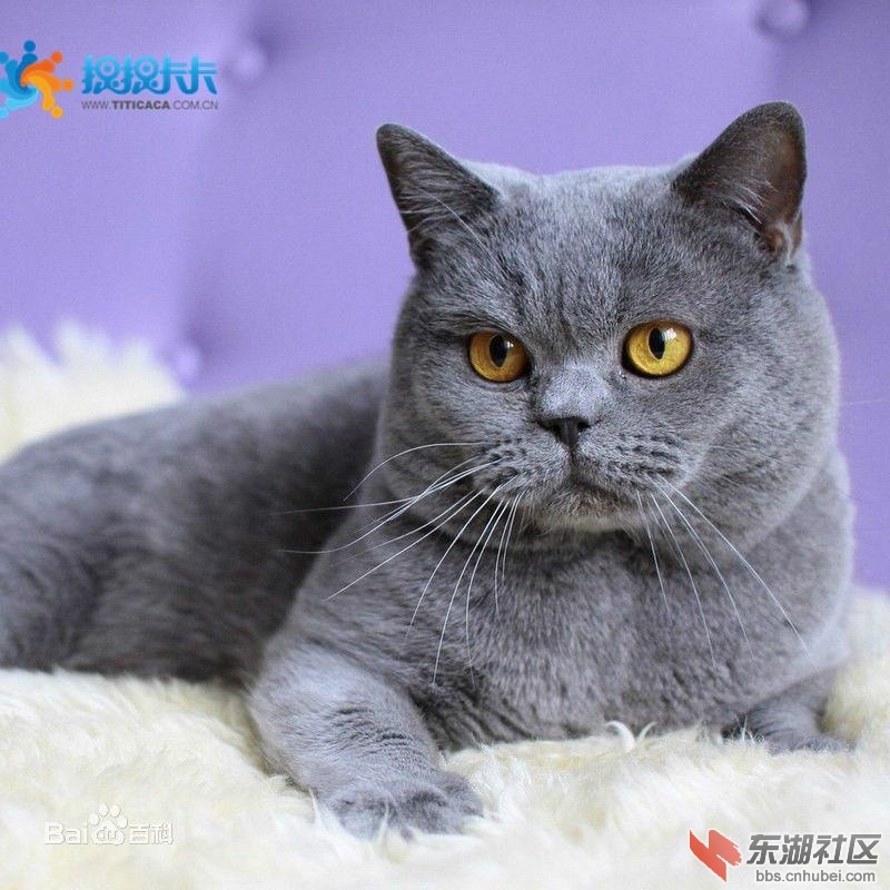 图片9.jpg