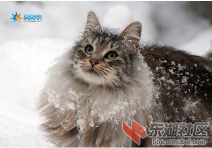 图片11.jpg