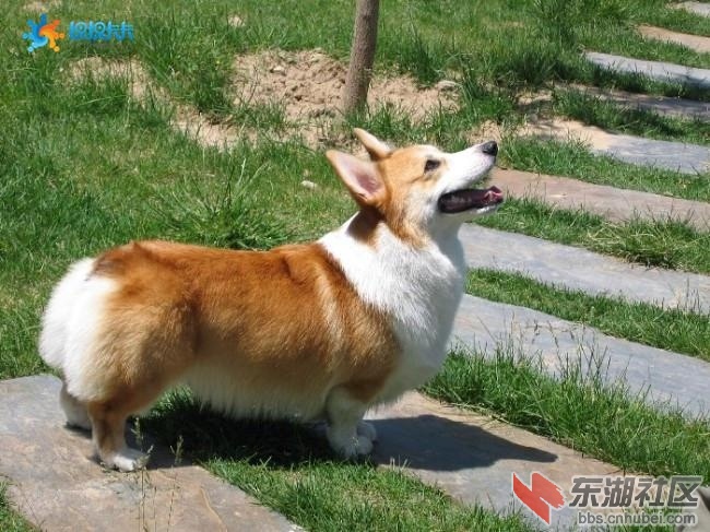 图片17.jpg
