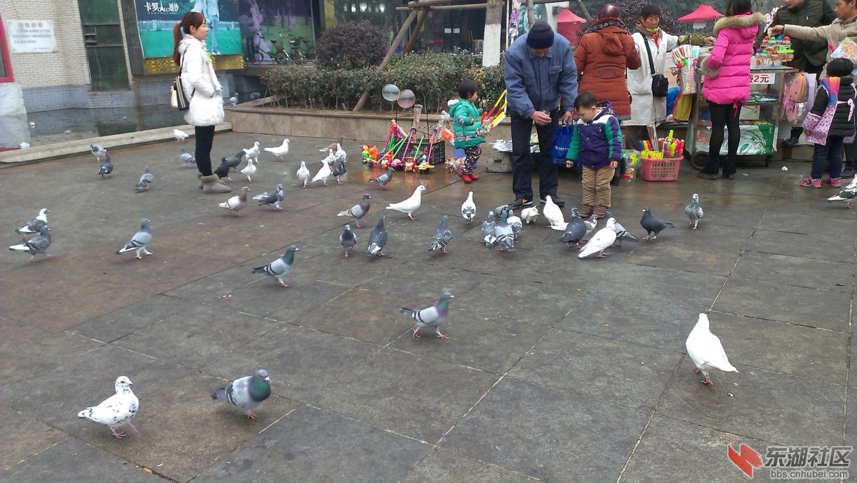 IMAG9526_副本.jpg