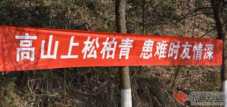 照片 1517.jpg