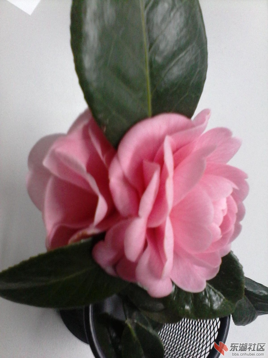 WP_20150122_008.jpg